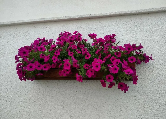 Le Casette Appartement *